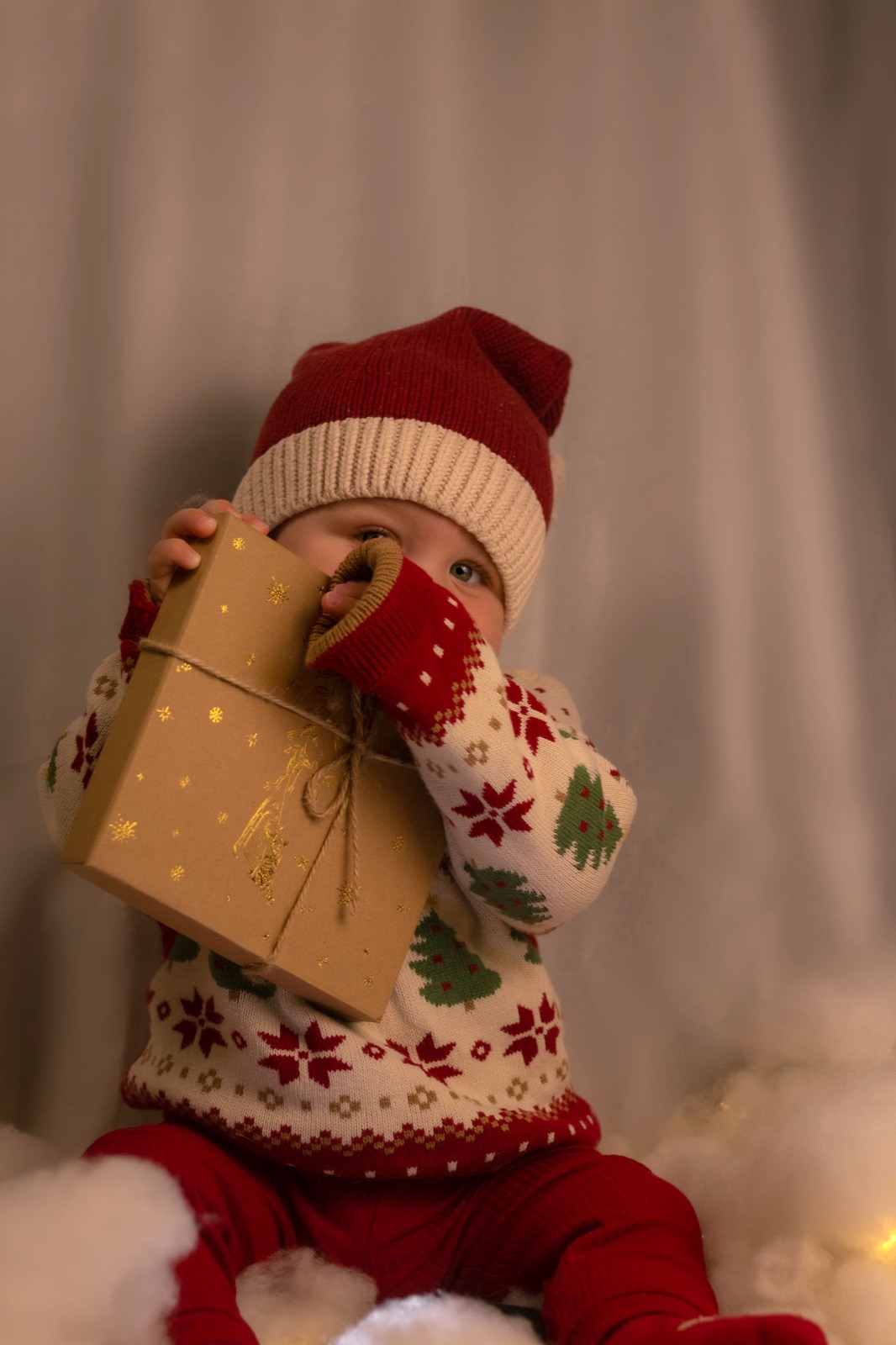 Weihnachtsminis 2026 — saisonale Mini-Shootings in Tulln